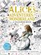 Macmillan Alice Colouring Book, The